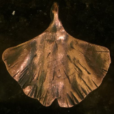 Dark Ginkgo Copper Pendant